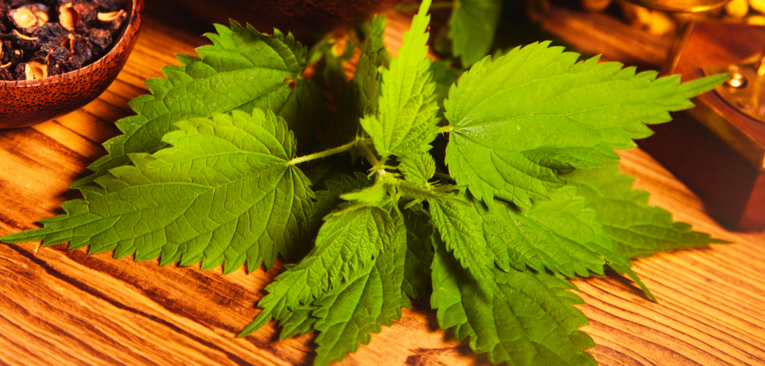 5 Natural Remedies to Soothe Sore Muscles After an Intense Workout