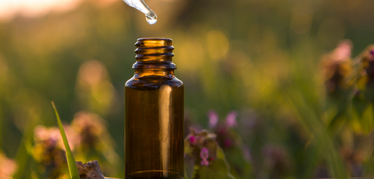 How does Camphor oil Relieve Muscle and Joint Pain?