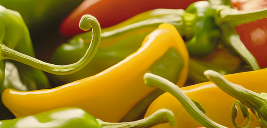 Capsaicin Oil: The Heat-Activated Ingredient for Pain Relief and Muscle Recovery