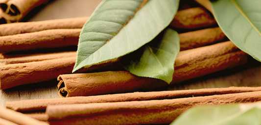 Cinnamon Oil: The Warming Ingredient for Pain Relief & Muscle Recovery
