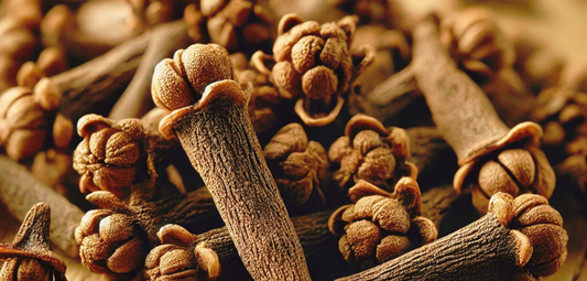 Clove Oil: The Powerful Natural Pain Reliever for Muscle & Joint Recovery